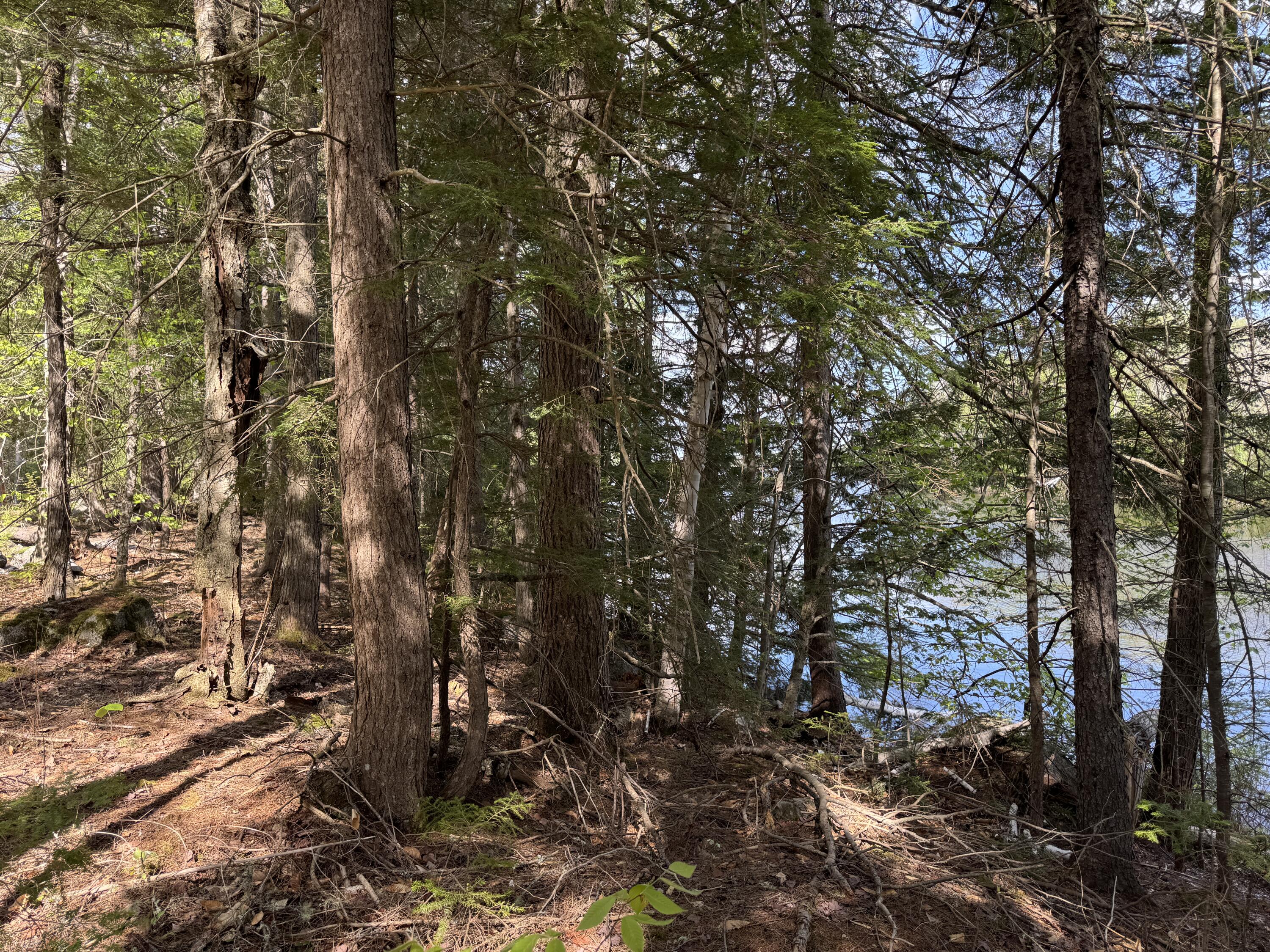 Land in T3 Indian Purchase Twp 4