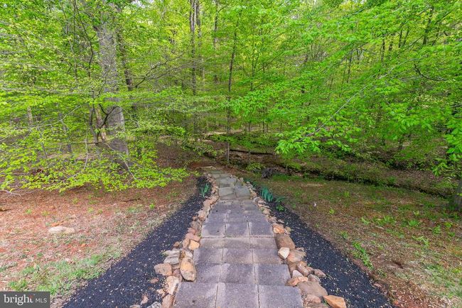 5553 Beverleys Mill Rd, House other with 4 bedrooms, 4 bathrooms and null parking in BROAD RUN VA | Image 8