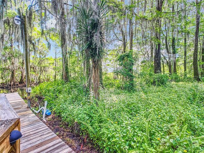 3175 N Wheaton Pt, House other with 3 bedrooms, 3 bathrooms and null parking in Hernando FL | Image 62