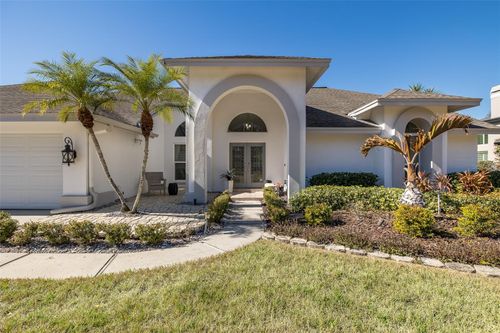 17304 Carriage Way, ODESSA, FL, 33556-1807 | Card Image