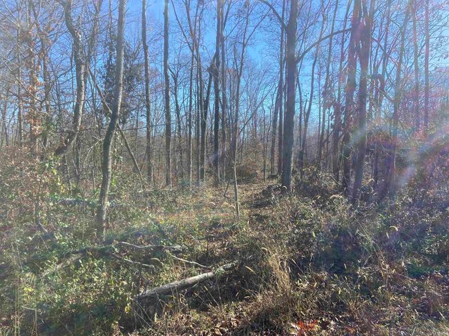 Tract 1 State Line Road, Home with 0 bedrooms, 0 bathrooms and null parking in West Terre Haute IN | Image 9