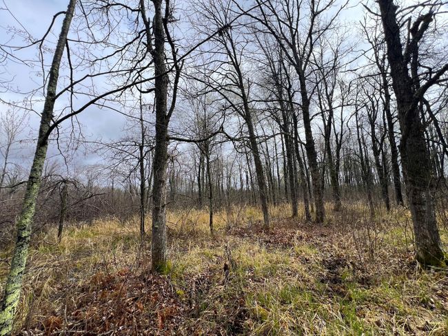62126 Tamarack River Rd, Home with 0 bedrooms, 0 bathrooms and null parking in SANDSTONE MN | Image 22
