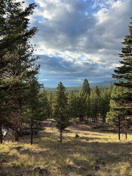 451 Crimson Peak Ct, Seeley Lake, MT, 59868 | Card Image