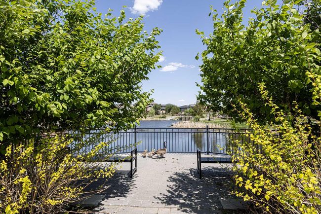 517 Arbourwood Terr S, Home with 0 bedrooms, 0 bathrooms and null parking in Lethbridge AB | Image 9