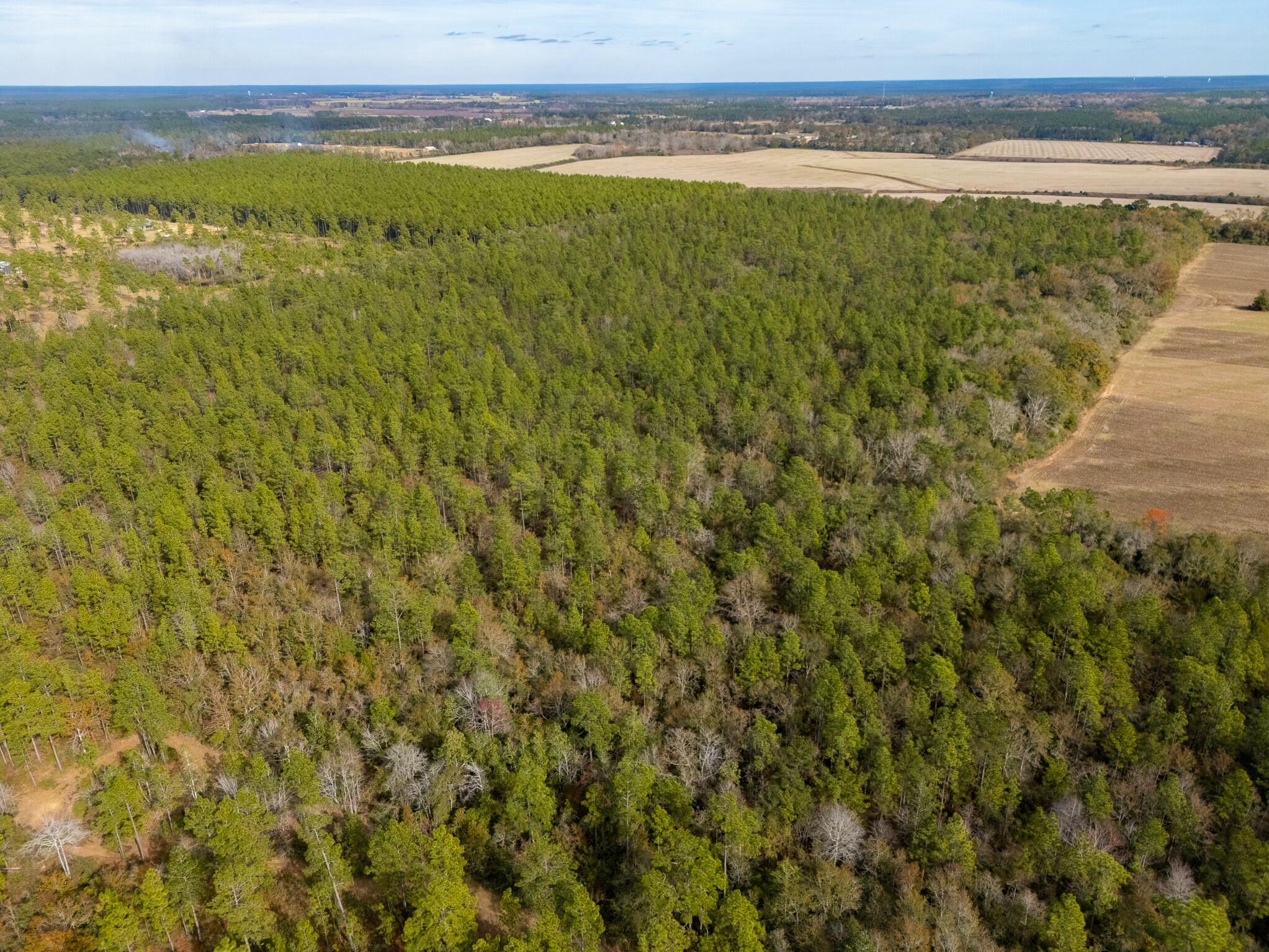 Land in Baker 4