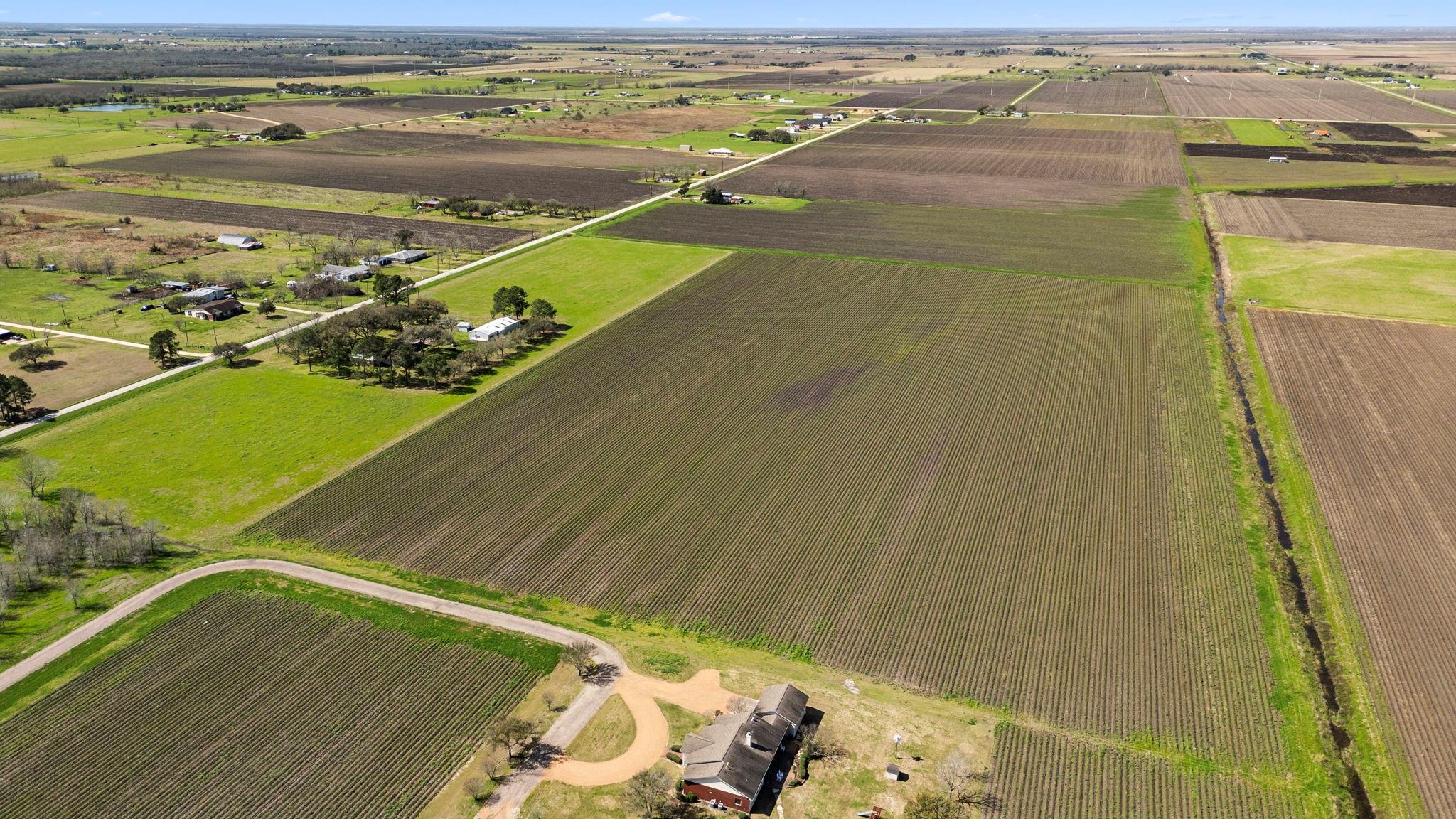 Farm in East Bernard 4