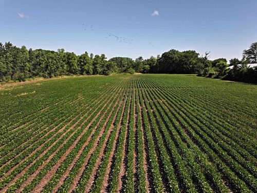9.93 M/L Acres Highway 51, Albion, WI, 53589 | Card Image