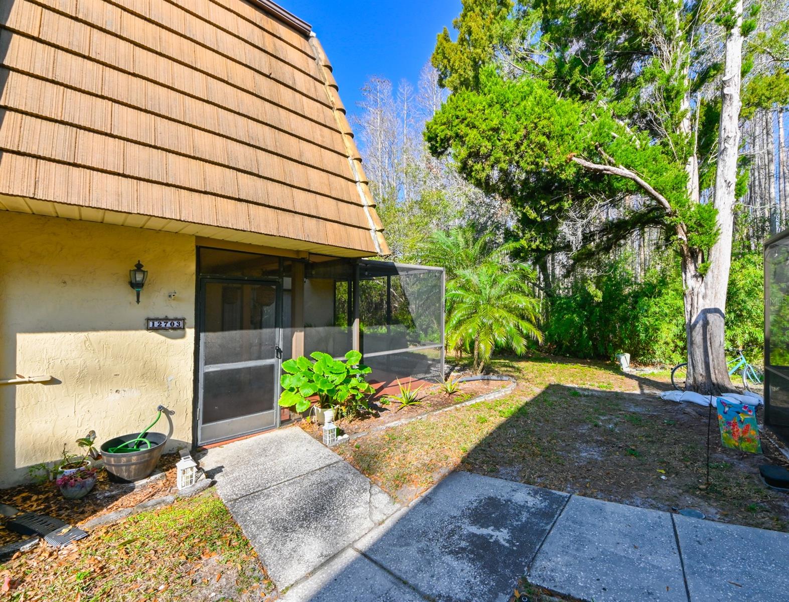 Tall Pine Dr, Tampa, FL 33625