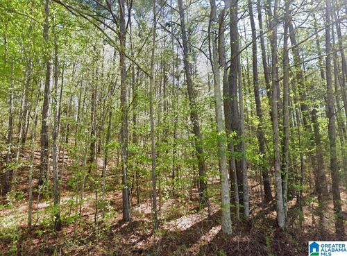 --0 County Road 46, Wedowee, AL, 36278 | Card Image