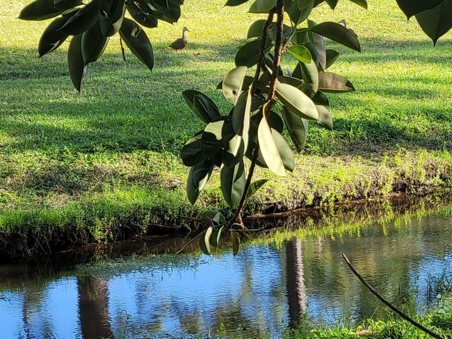 2913 Se Darien Rd, House other with 3 bedrooms, 2 bathrooms and null parking in Port St Lucie FL | Image 43