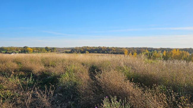 20241011_170829.jpg | Image 9