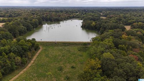 0-6040 Highway 28, Pine Apple, AL, 36768 | Card Image