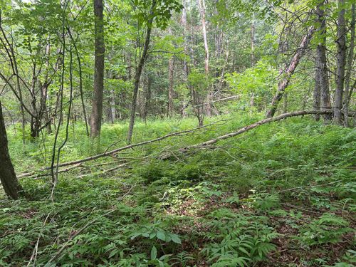 0 Berry Hill Rd, Sheffield, VT, 05866 | Card Image