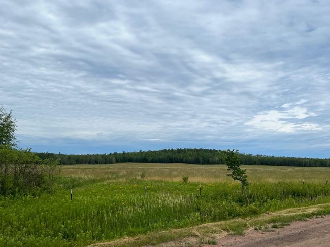 Hay field | Image 29