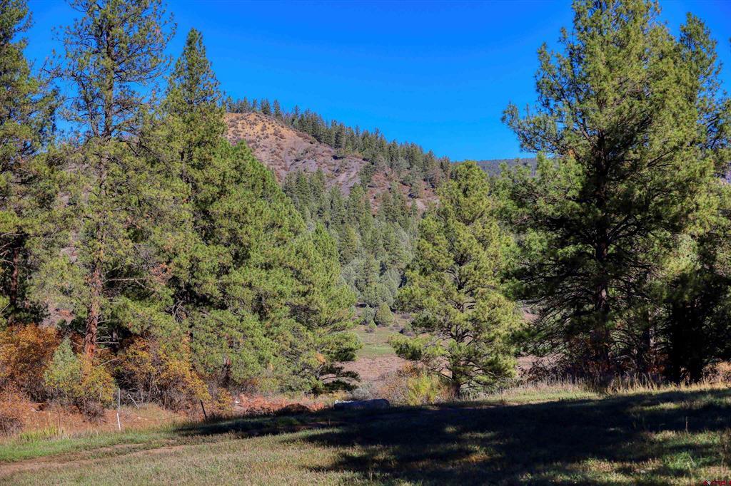 Land in Pagosa Springs 4