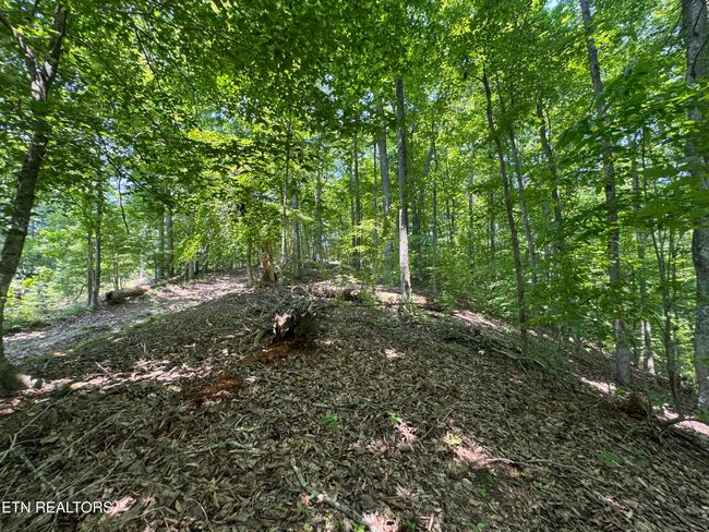 44 Ridgeland Dr, Home with 0 bedrooms, 0 bathrooms and null parking in Sharps Chapel TN | Image 13