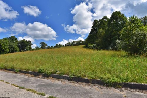 Lot 38 Birch St, Grafton, WV, 26354-8619 | Card Image