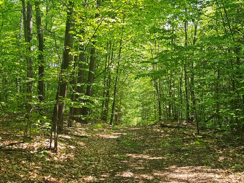 Lot 023-A Oak Hill Rd, Temple, ME, 04984 | Card Image