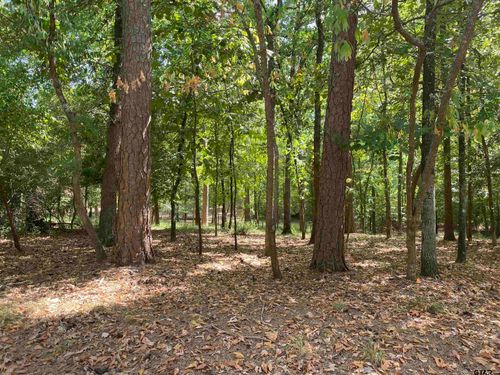 tbd Lamplight Path, Hawkins, TX, 75765 | Card Image