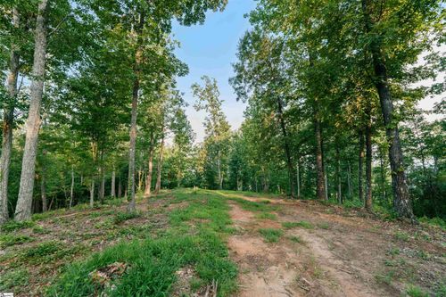 lot-1-200 Chestnut Mountain Rd, Travelers Rest, SC, 29690 | Card Image