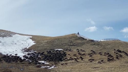 86 Pony Ln, Livingston, MT, 59047 | Card Image