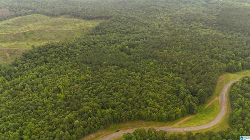 na-0 County Road 804, Wedowee, AL, 36278 | Card Image
