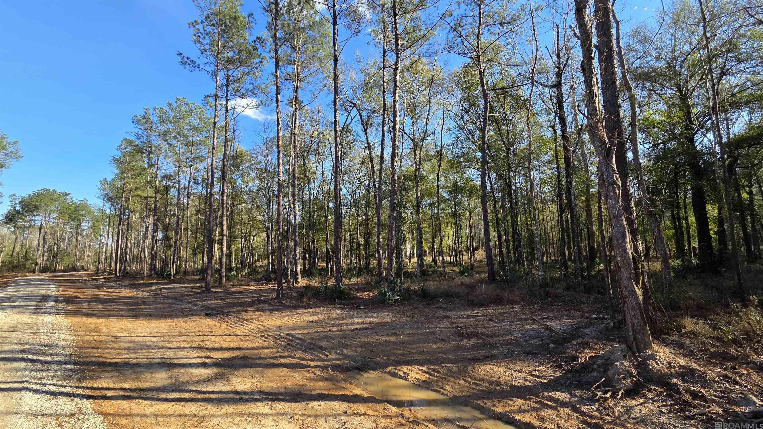 Land in Livingston 4