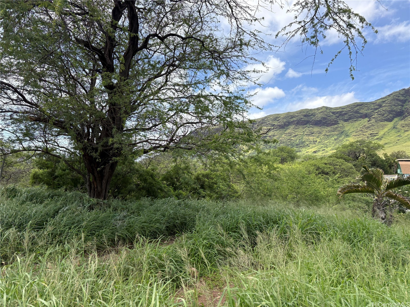 Land in Waianae