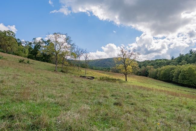 214 Comers Creek Rd, Home with 0 bedrooms, 0 bathrooms and null parking in Sugar Grove VA | Image 39
