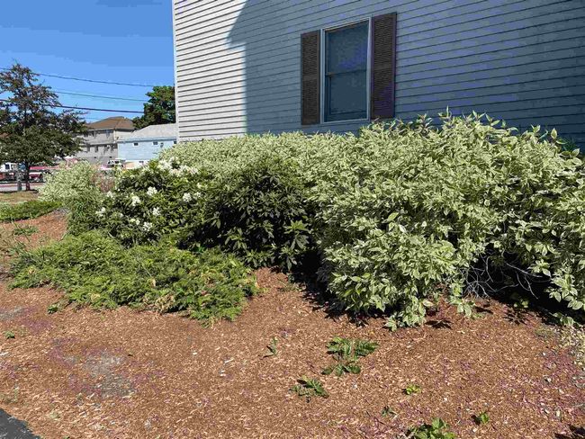 APT-206 - 7 Railroad Ave, Condo with 2 bedrooms, 1 bathrooms and null parking in Derry NH | Image 37