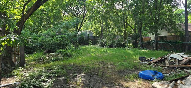 View of yard | Image 5