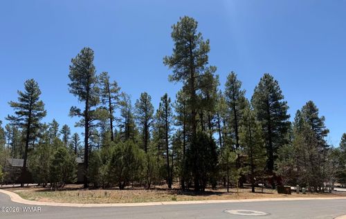 2480 W Narrow Leaf Ln, Show Low, AZ, 85901-2204 | Card Image