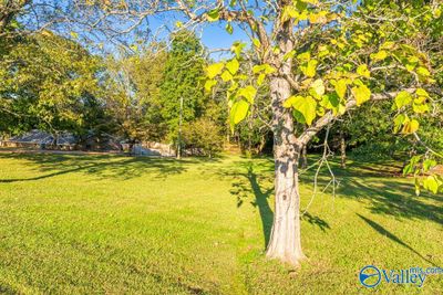 1128 County Road 84, House other with 2 bedrooms, 1 bathrooms and null parking in Rogersville AL | Image 3