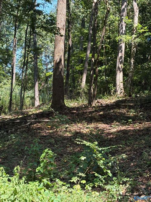 Lot 155 Sgt Holden Lane, Athens, AL, 35614 | Card Image