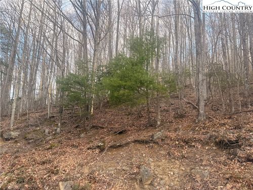 212 Jackpine Road, Beech Mountain, NC, 28604 | Card Image