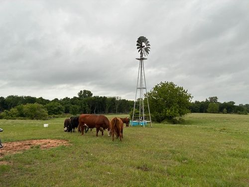 599 Lone Star Rd, Poolville, TX, 76487-4410 | Card Image