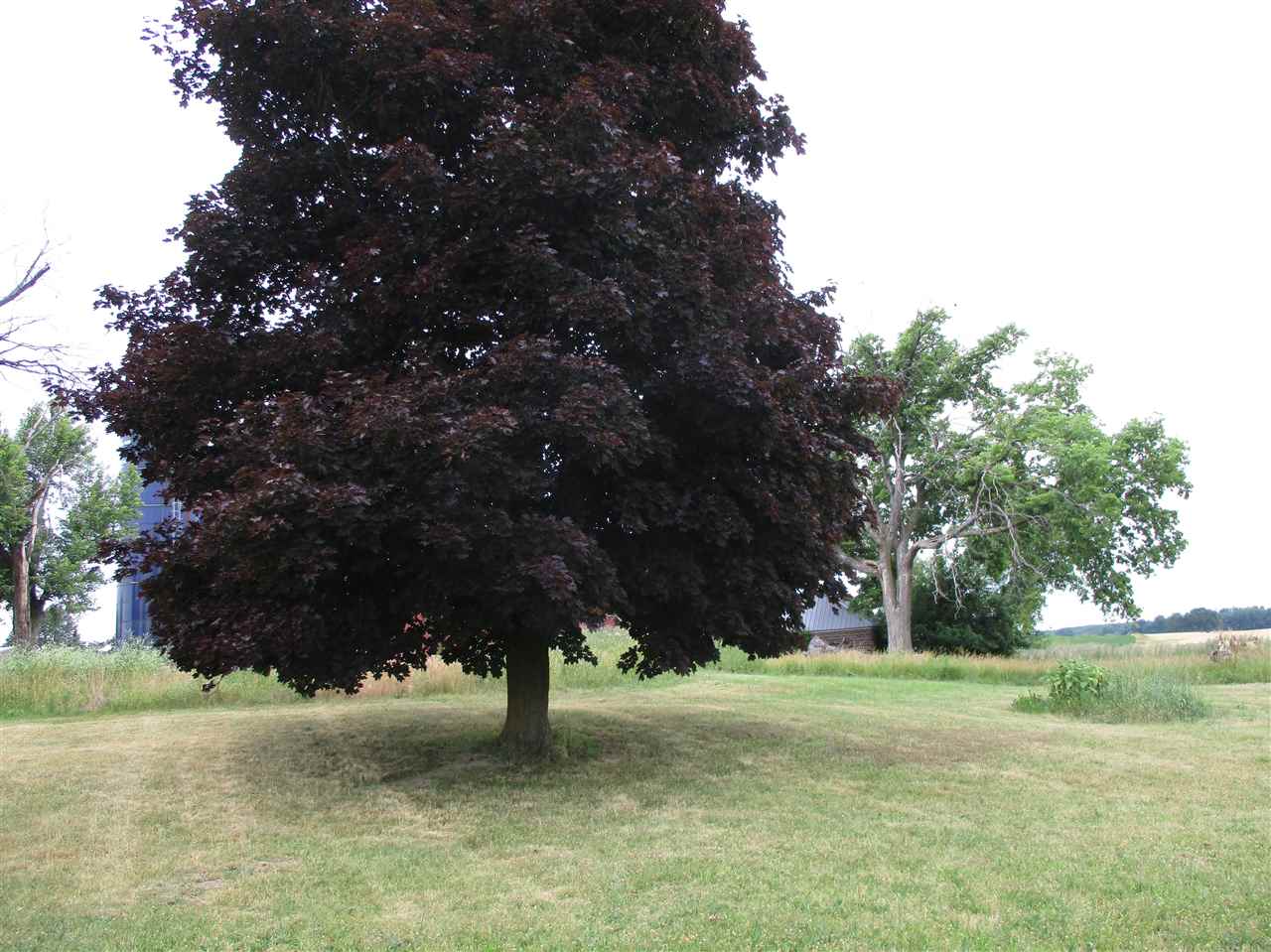 Vernon Rd, Durand, MI 48429