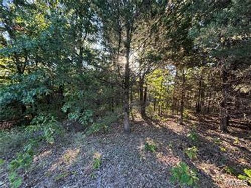 7 Appaloosa Trail, Monroe City, MO, 63456 | Card Image