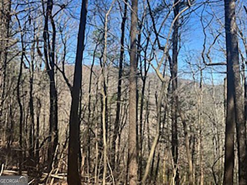 LOT 14 Butler Creek Rd, Cherry Log, GA, 30522-3217 | Card Image