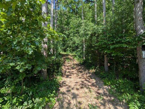 V/L North Avenue, Bellevue, MI, 49021 | Card Image