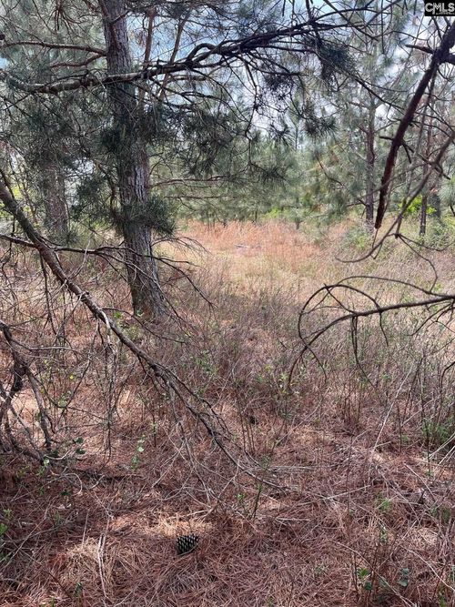BDF 7 Beaverdam Road, Cassatt, SC, 29032 | Card Image