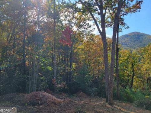 Lot 74 Mine Cart Trail, Blairsville, GA, 30512 | Card Image