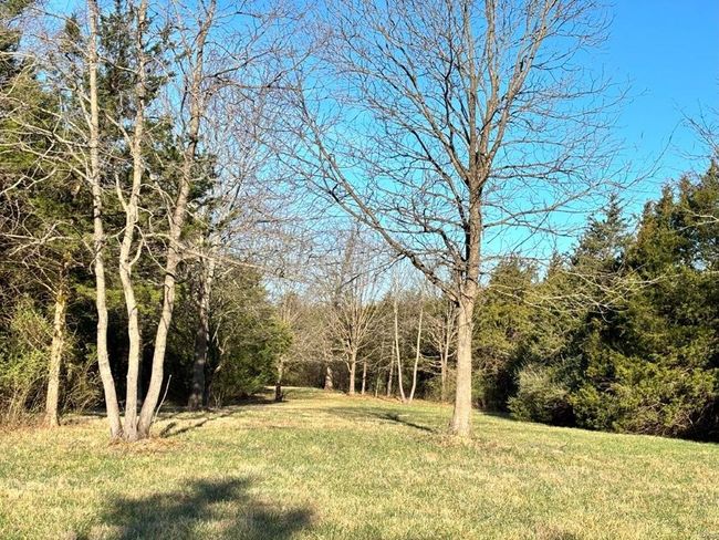 View of yard | Image 25