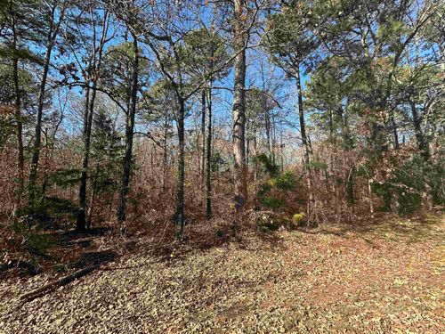 Lot 17 Woodland, Greers Ferry, AR, 72067 | Card Image