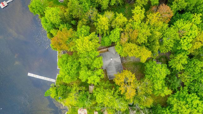 1088 Gravel Pit Dr, House other with 3 bedrooms, 1 bathrooms and 6 parking in Minden ON | Image 28