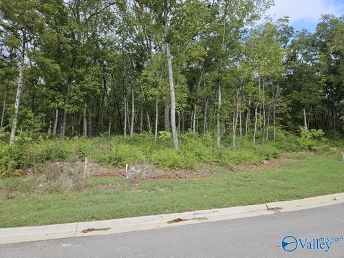 4107 Piedmont Dr Se, Huntsville, AL, 35802-1050 | Card Image