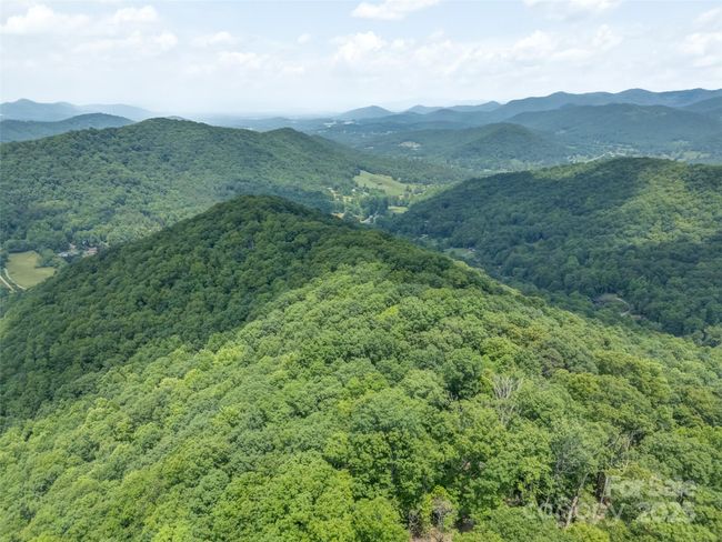 000 White Rock Branch Rd, Home with 0 bedrooms, 0 bathrooms and null parking in Candler NC | Image 25