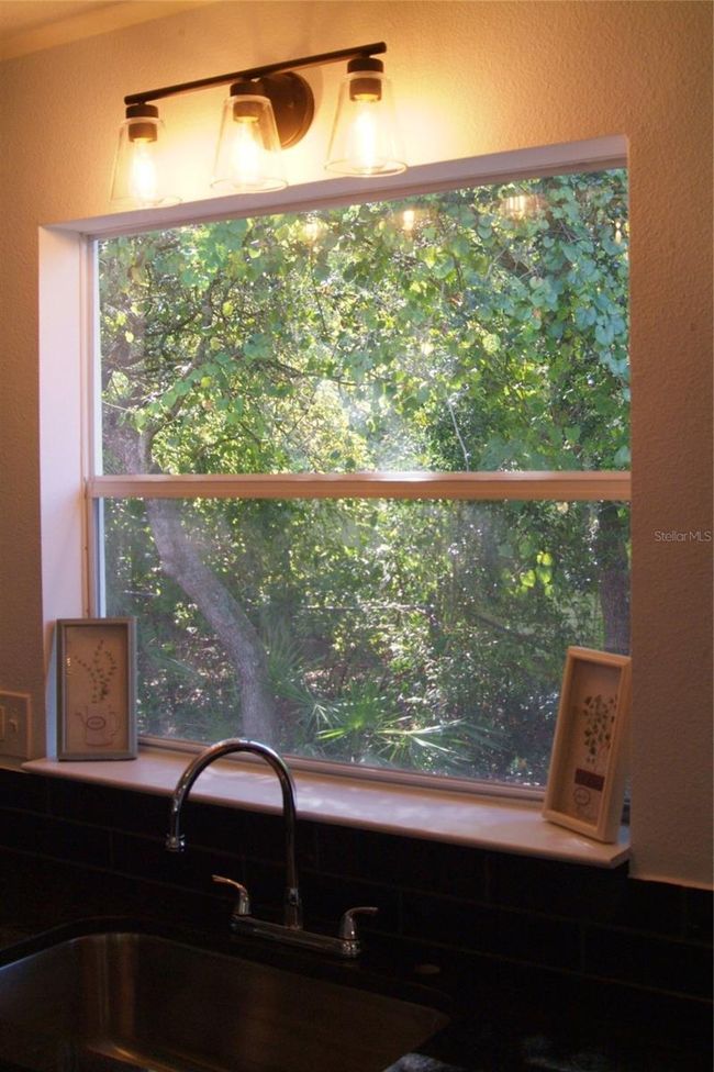 View of Foliage out Kitchen Window | Image 19