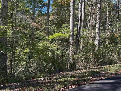 Lot 47A Walleye Way, Scottsville, KY, 42164-6080 | Card Image