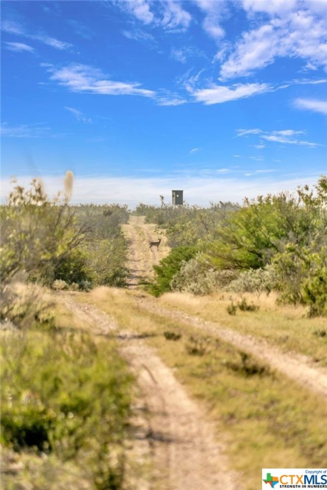 0 Del Rio Blvd, Home with 2 bedrooms, 2 bathrooms and null parking in Eagle Pass TX | Image 31